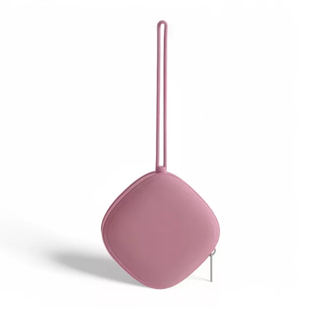 pacifier holder case, pacifier box, pacifier case, pacifier container, pacifier pouch